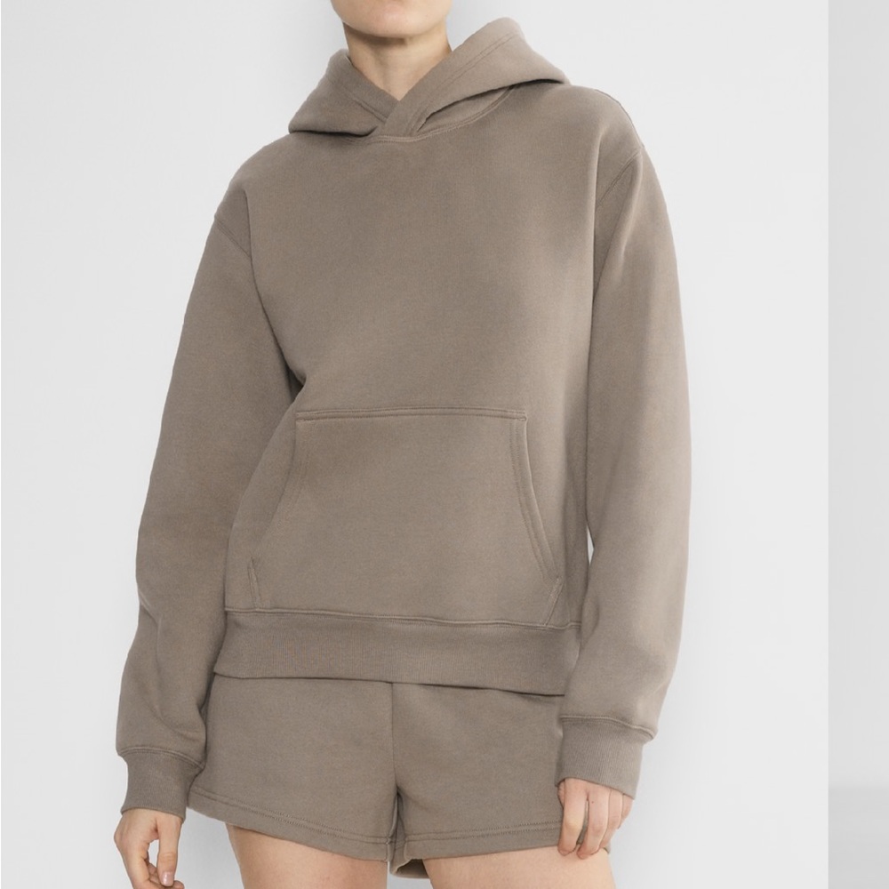 Aritzia Cozy Sweatfleece Perfect Hoodie